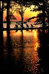 The Sentosa Resort & Spa 